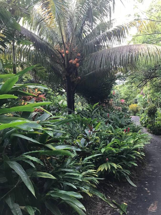 Tropical Garden Self Catering Villa Victoria Dış mekan fotoğraf